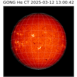 gong - 2025-03-12T13:00:42