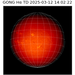 gong - 2025-03-12T14:02:22