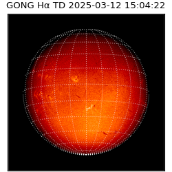 gong - 2025-03-12T15:04:22