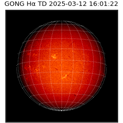 gong - 2025-03-12T16:01:22