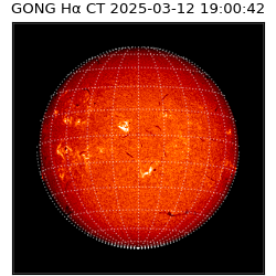 gong - 2025-03-12T19:00:42