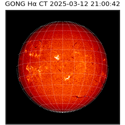 gong - 2025-03-12T21:00:42