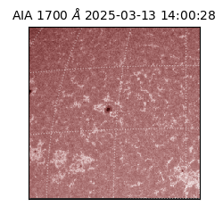 saia - 2025-03-13T14:00:28.718000