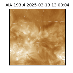 saia - 2025-03-13T13:00:04.843000