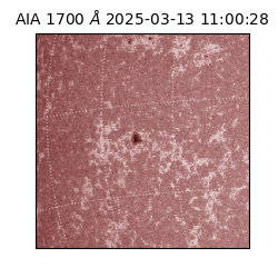 saia - 2025-03-13T11:00:28.717000