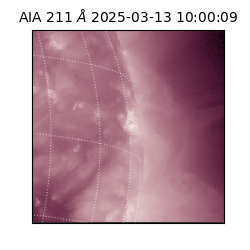 saia - 2025-03-13T10:00:09.622000