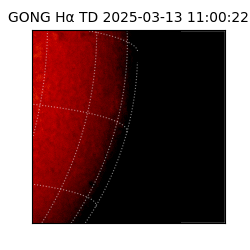 gong - 2025-03-13T11:00:22