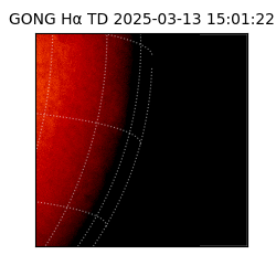 gong - 2025-03-13T15:01:22