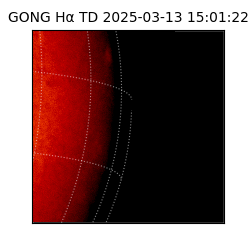 gong - 2025-03-13T15:01:22