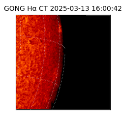gong - 2025-03-13T16:00:42