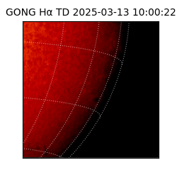 gong - 2025-03-13T10:00:22