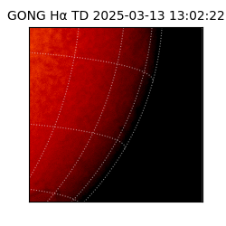 gong - 2025-03-13T13:02:22