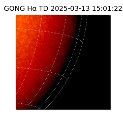 gong - 2025-03-13T15:01:22