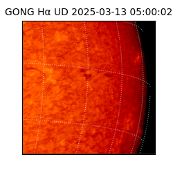 gong - 2025-03-13T05:00:02