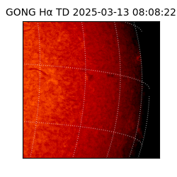 gong - 2025-03-13T08:08:22