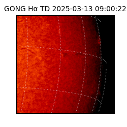 gong - 2025-03-13T09:00:22