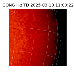 gong - 2025-03-13T11:00:22