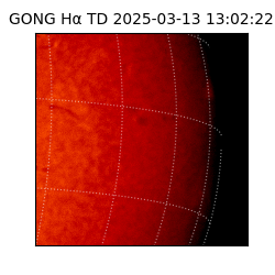 gong - 2025-03-13T13:02:22