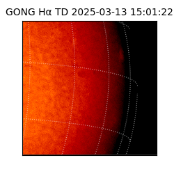 gong - 2025-03-13T15:01:22