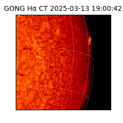 gong - 2025-03-13T19:00:42