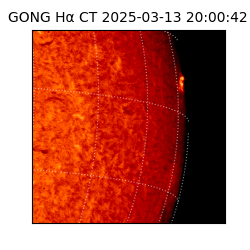 gong - 2025-03-13T20:00:42