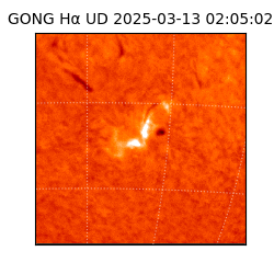 gong - 2025-03-13T02:05:02