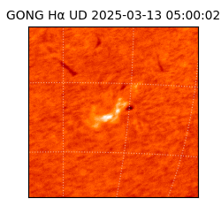 gong - 2025-03-13T05:00:02