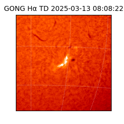 gong - 2025-03-13T08:08:22