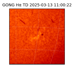 gong - 2025-03-13T11:00:22