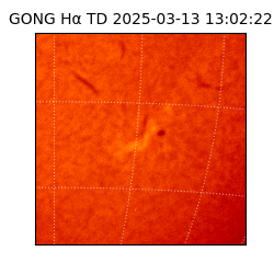 gong - 2025-03-13T13:02:22