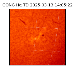 gong - 2025-03-13T14:05:22