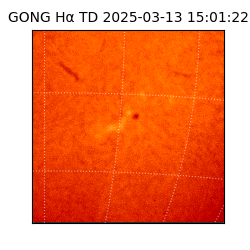 gong - 2025-03-13T15:01:22