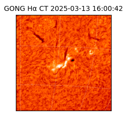 gong - 2025-03-13T16:00:42