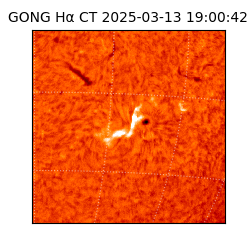 gong - 2025-03-13T19:00:42