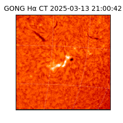 gong - 2025-03-13T21:00:42