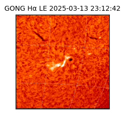 gong - 2025-03-13T23:12:42