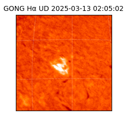 gong - 2025-03-13T02:05:02