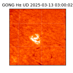 gong - 2025-03-13T03:00:02