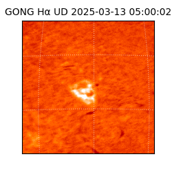 gong - 2025-03-13T05:00:02