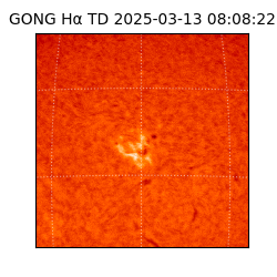 gong - 2025-03-13T08:08:22