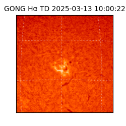 gong - 2025-03-13T10:00:22