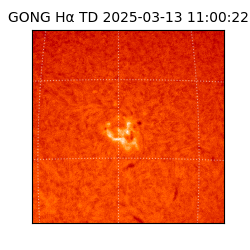 gong - 2025-03-13T11:00:22