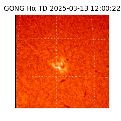 gong - 2025-03-13T12:00:22