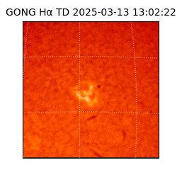 gong - 2025-03-13T13:02:22