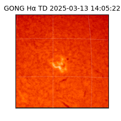 gong - 2025-03-13T14:05:22