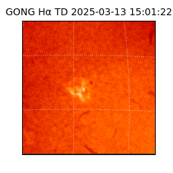 gong - 2025-03-13T15:01:22