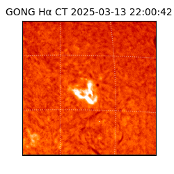 gong - 2025-03-13T22:00:42