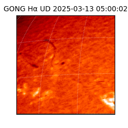 gong - 2025-03-13T05:00:02