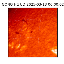 gong - 2025-03-13T06:00:02