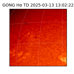 gong - 2025-03-13T13:02:22